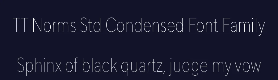 TT Norms Std Condensed Font Family by Pavel Emelyanov , TypeType Team , Yulia Gonina — Sans Serif Font — thumbnail 2