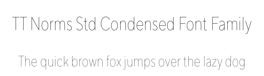 TT Norms Std Condensed Font Family by Pavel Emelyanov , TypeType Team , Yulia Gonina — Sans Serif Font