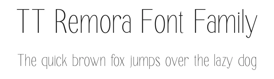 TT Remora Font Family by truetype — Display Font