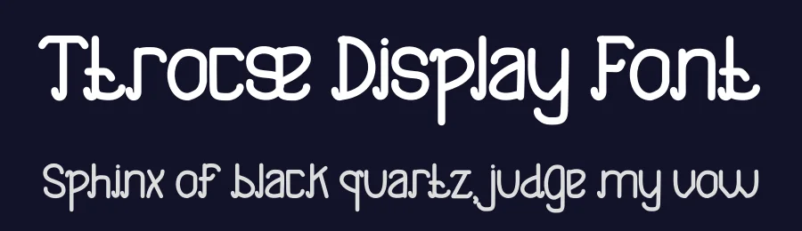 Ttrocse Display Font by Dhabee — Serif Font — thumbnail 2