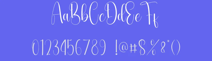 Tuesdays Calligraphy Font by andikastudio — Script Handwritten Font — thumbnail 3