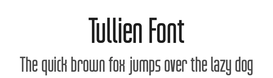 Tullien Font by Indotype — Sans Serif Font