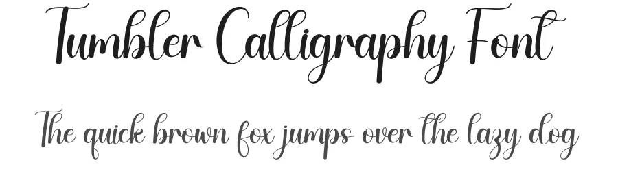 Tumbler Calligraphy Font by creativeletter — Script Handwritten Font