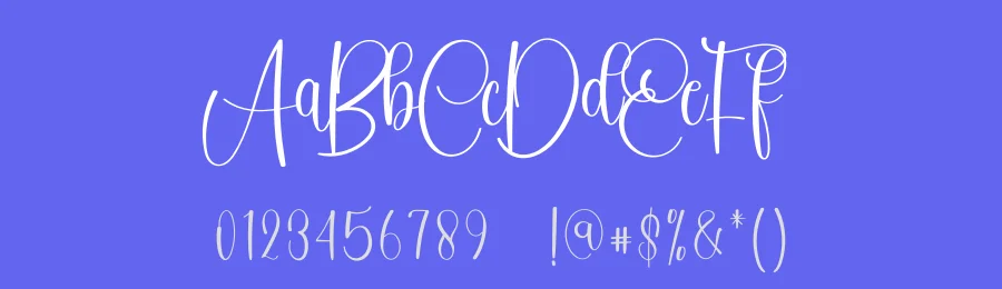 Tumbler Typeface by inermediaSTUDIO — Script Handwritten Font — thumbnail 3
