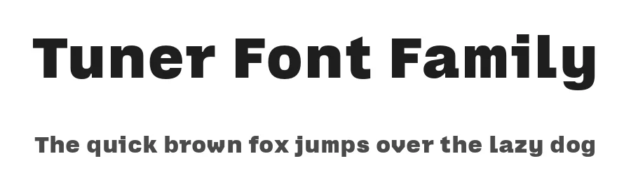 Tuner Font Family by Production Type — Display Font