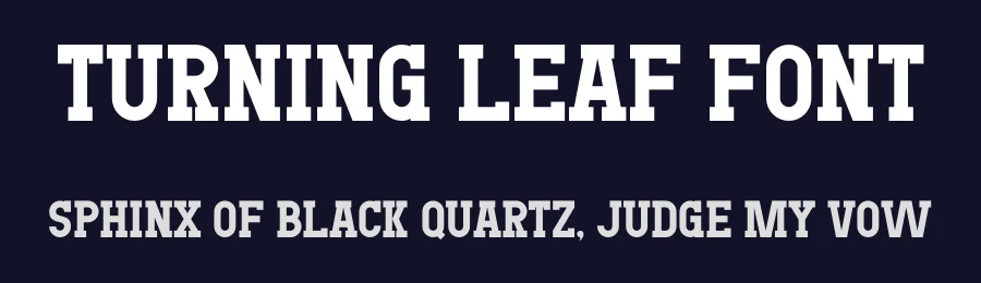 Turning Leaf Font by Maiko Hatta — Slab Serif Font — thumbnail 2