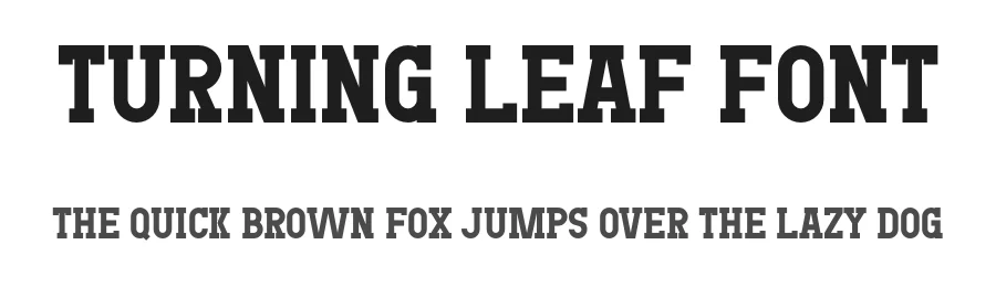 Turning Leaf Font by Maiko Hatta — Slab Serif Font
