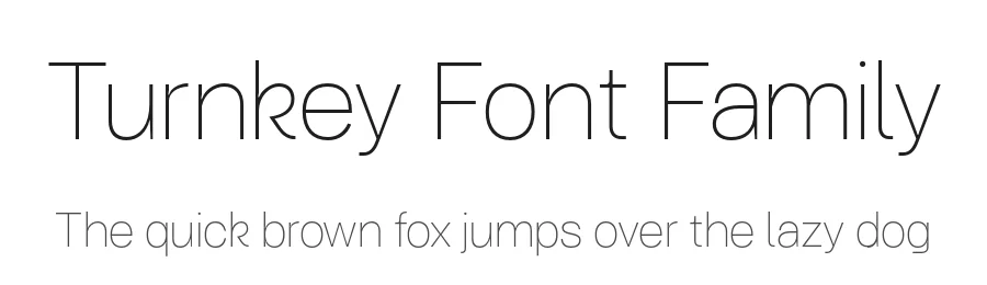 Turnkey Font Family by we are colt — Sans Serif Font