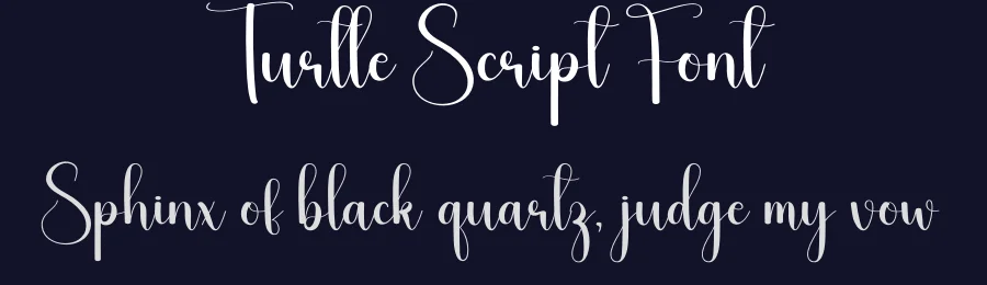 Turtle Script Font by andikastudio — Script Handwritten Font — thumbnail 2