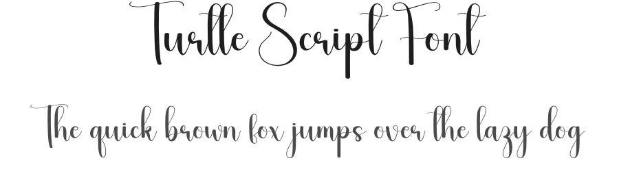 Turtle Script Font by andikastudio — Script Handwritten Font