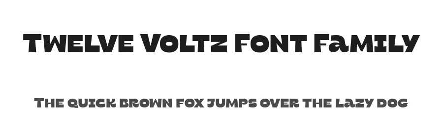 Twelve Voltz Font Family by Four Lines Std — Sans Serif Font