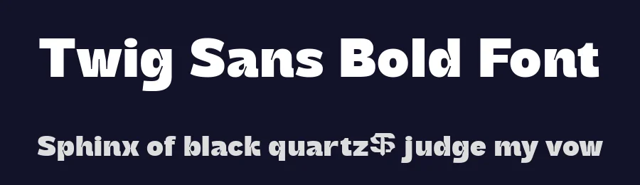 Twig Sans Bold Font by sixtypefoundry — Display Font — thumbnail 2