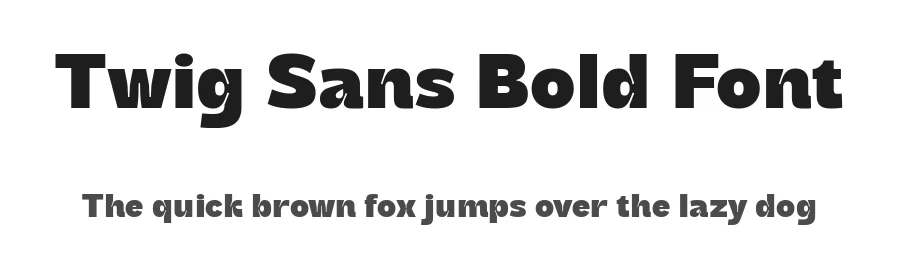 Twig Sans Bold Font by sixtypefoundry — Display Font