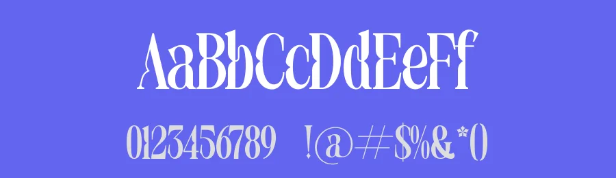 Twolight Font by timelesstype.co — Serif Font — thumbnail 3