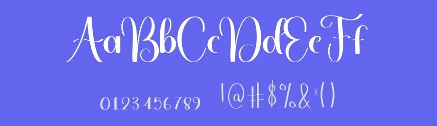 Typography Style Script Font by freshtypeink — Script Handwritten Font — thumbnail 3