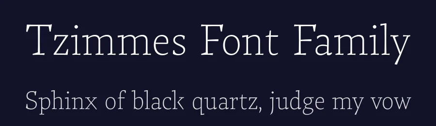Tzimmes Font Family by Dada Studio — Serif Font — thumbnail 2