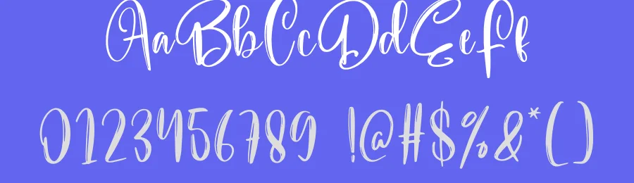 Underline Script Font by creativeletter — Script Handwritten Font — thumbnail 3