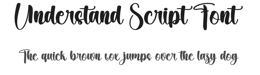 Understand Script Font by creativeletter — Script Handwritten Font