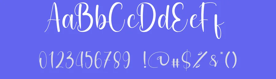 United Display Script Font by freshtypeink — Script Handwritten Font — thumbnail 3