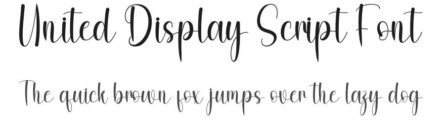 United Display Script Font by freshtypeink — Script Handwritten Font