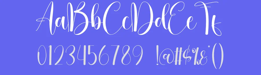 Usually Calligraphy Font by creativeletter — Script Handwritten Font — thumbnail 3