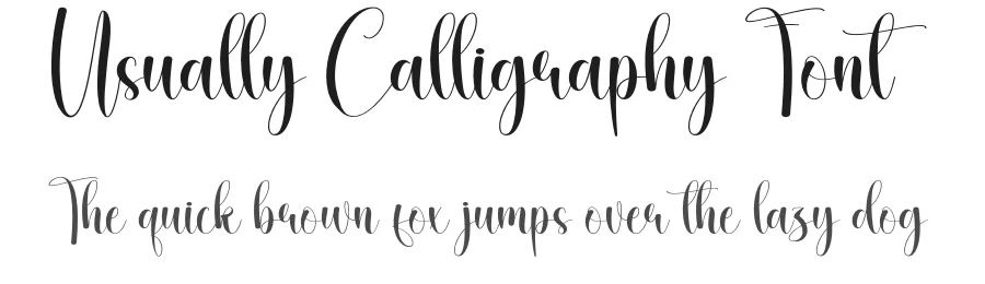 Usually Calligraphy Font by creativeletter — Script Handwritten Font