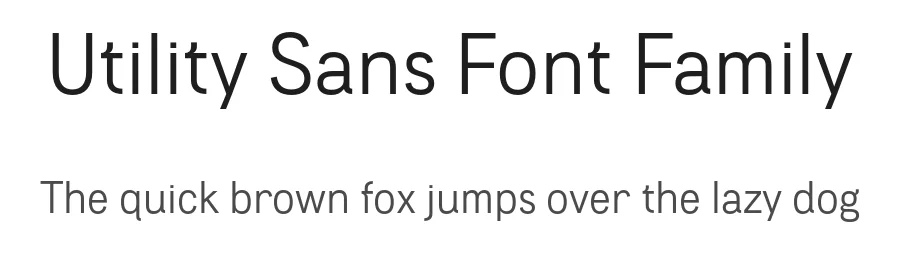 Utility Sans Font Family by That That Creative — Sans Serif Font