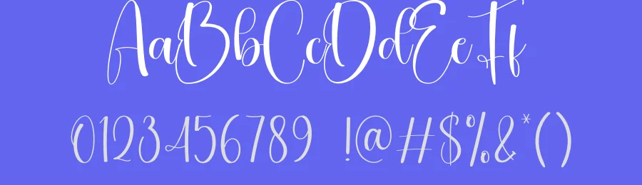 Vacation Calligraphy Script Font by creativeletter — Script Handwritten Font — thumbnail 3
