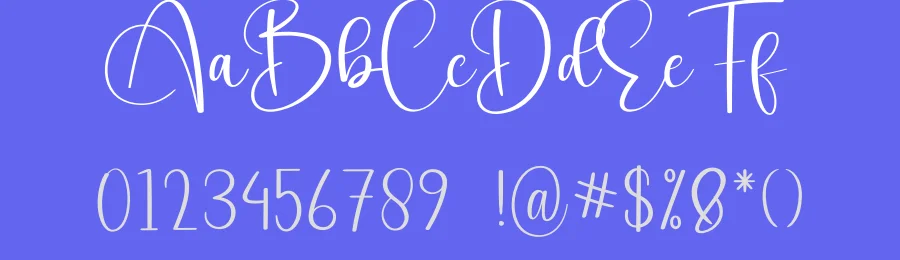 Vacation Calligraphy Script Font by creativeletter — Script Handwritten Font — thumbnail 3