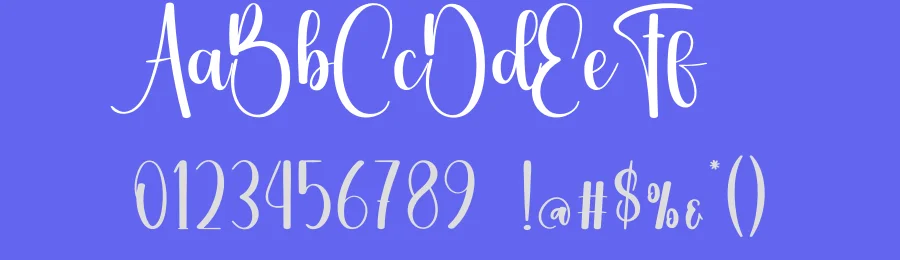 Vacation Calligraphy Typeface by creativeletter — Script Handwritten Font — thumbnail 3
