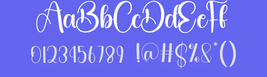 Vacation Calligraphy Typeface by creativeletter — Script Handwritten Font — thumbnail 3