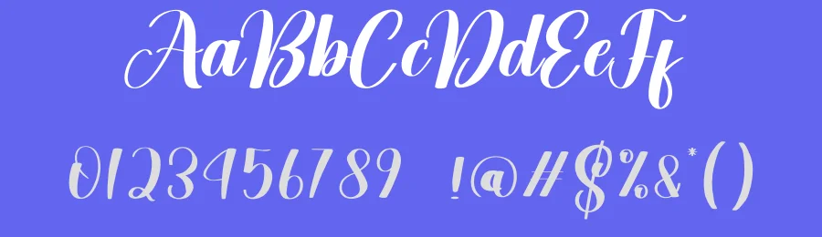 Vacation Script Font by creativeletter — Script Handwritten Font — thumbnail 3