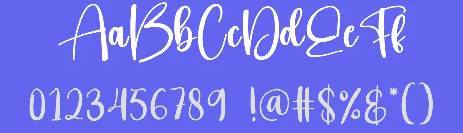 Vacation Script Typeface by creativeletter — Script Handwritten Font — thumbnail 3