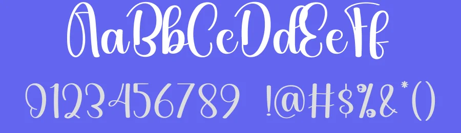 Vacation Script Typeface by creativeletter — Script Handwritten Font — thumbnail 3