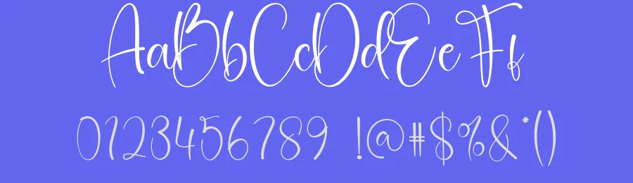 Vacation Signature Script Font by creativeletter — Script Handwritten Font — thumbnail 3