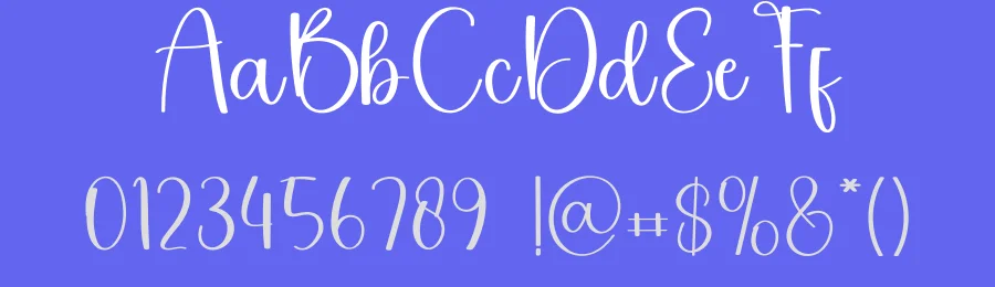 Vacation Style Script Font by freshtypeink — Script Handwritten Font — thumbnail 3
