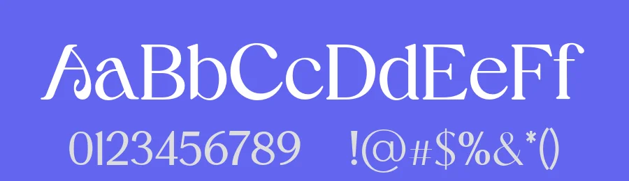 Vagotenia Font by UICreative — Serif Font — thumbnail 3