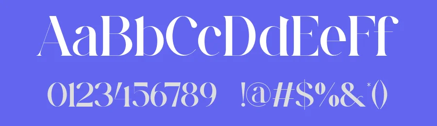 Vakonie Font by ErmediaStudio — Serif Font — thumbnail 3
