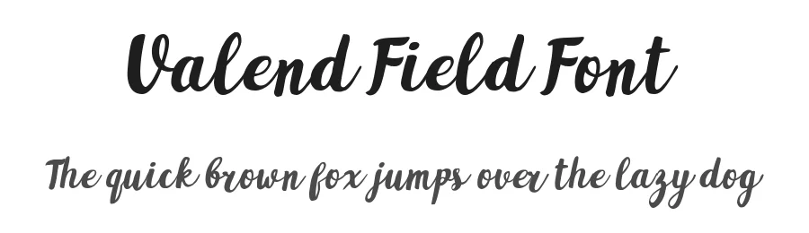 Valend Field Font by metafontsy — Decorative Font
