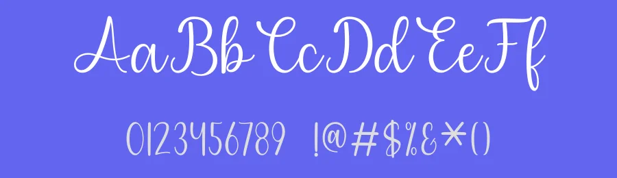 Valentine Calligraphy Typeface by DN Creative — Script Handwritten Font — thumbnail 3