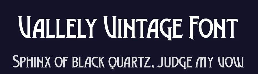 Vallely Vintage Font by Twicolabs Fontdation — Display Font — thumbnail 2
