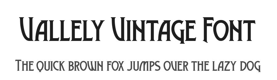 Vallely Vintage Font by Twicolabs Fontdation — Display Font