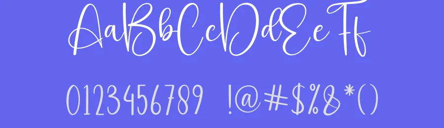 Valley Calligraphy Script Font by creativeletter — Script Handwritten Font — thumbnail 3