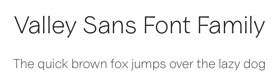 Valley Sans Font Family by Lari Mörö , Niklas Ekholm — Sans Serif Font