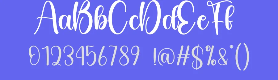 Value Script Font by andikastudio — Script Handwritten Font — thumbnail 3