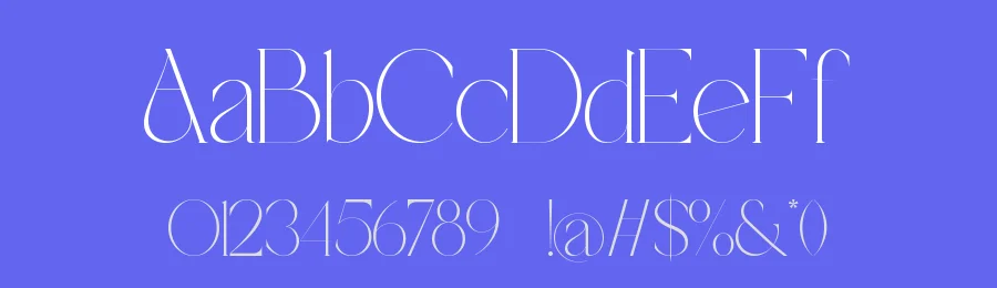 Vamike Serif Font by ErmediaStudio — Serif Font — thumbnail 3