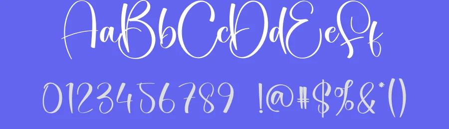 Vania Signature Script Font by creativeletter — Script Handwritten Font — thumbnail 3