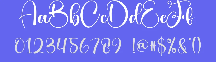 Vanilla Calligraphy Font by creativeletter — Script Handwritten Font — thumbnail 3