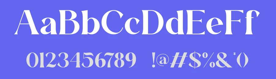 Vanniel Serif Font by ErmediaStudio — Serif Font — thumbnail 3