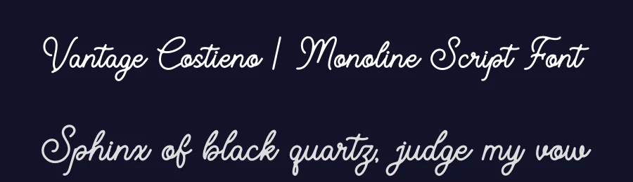 Vantage Costieno | Monoline Script Font by Gracetypestudio — Script Handwritten Font — thumbnail 2